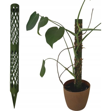 Supporto modulare per piante, ideale per muschio, Monstera e cocco, altezza 58 cm. (1/5)