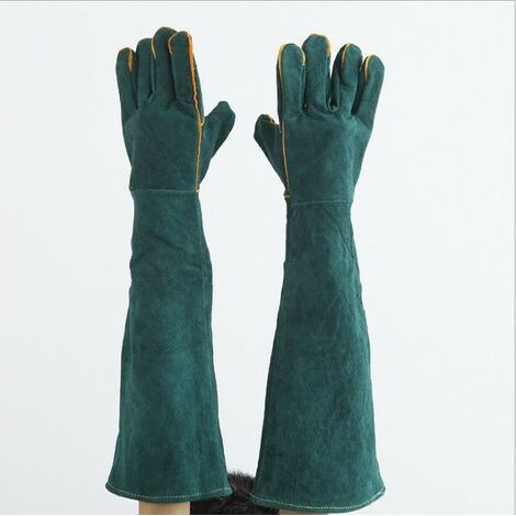 Filiyano-Gants anti-griffures et anti-morsures pour animaux de compagnie, gants épais pour chiens, gants de protection (1/5)