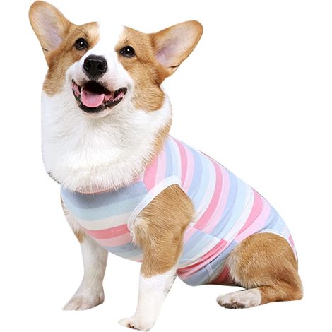 Chemise chirurgicale anti-léchage, respirante et protectrice des plaies, pour chiens, combinaison post-opératoire douce pour chien, mâle et femelle (rose, taille M)