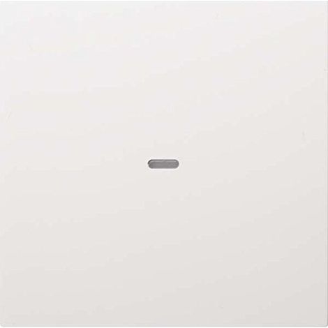 Plaque de finition Berker 80960289 finition brillante blanc