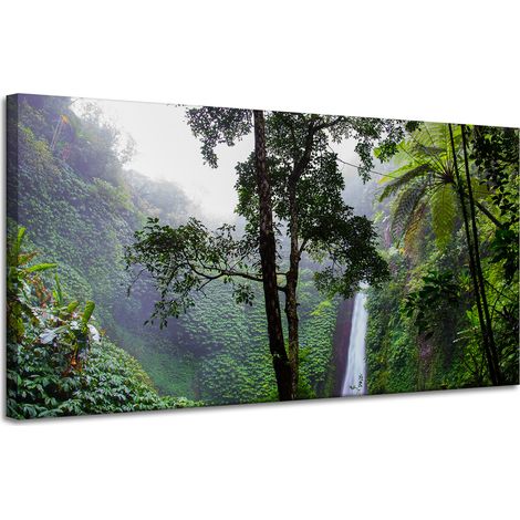 Leinwanddruck Natur Tropischer Wald 120x60 cm