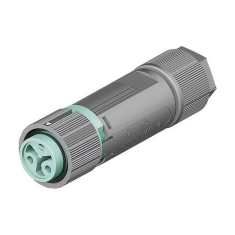 Wieland  46.031.4551.6 Connettore circolare Giunto dritto Serie (connettore circolare): RST® MINI Tot poli: 2 1 pz.