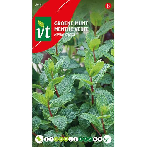 Menthe Poivrée - Ca. 0,2 gr (Livraison Gratuite) (1/2)