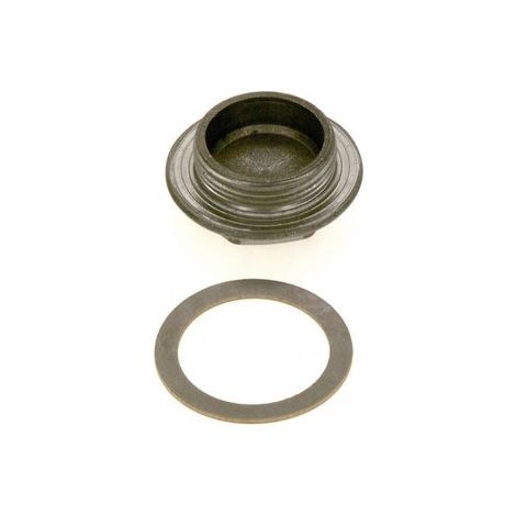 Pièce de rechange BOSCH TTNR : 87185712580 Bouchon borgne G 1 1/4" re everp