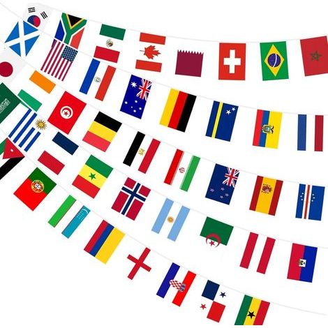 48 Drapeaux du Monde pour Coupe du Monde de Football 2026, Coupe du Monde Football 2026 Bunting Double Face en Tissu Polyester Guirlande pour Décor Football Fans Bar Jardin Clubs Sportifs (21 14CM) (1/5)