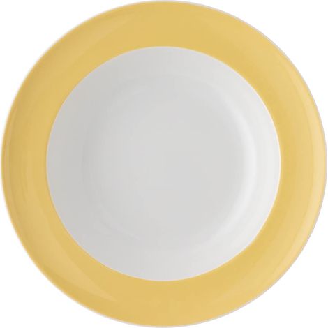 Assiette creuse ronde en porcelaine Ø 22,8 cm Hauteur 4,2 cm 0,390 l (1/3)