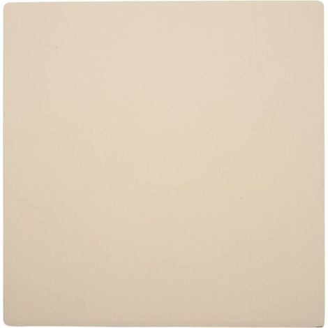 Pierre à Pizza Épaisse pour Four et Barbecue Plateau de Cuisson Pierre Naturelle 305x305x10mm