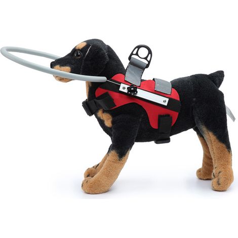 Adjustable Blind Dog Harness, Blind Dog Bumper from Cats (1/5)