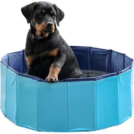 Piscina plegable para perros PETITTO de 120 cm, color azul, fácil de guardar