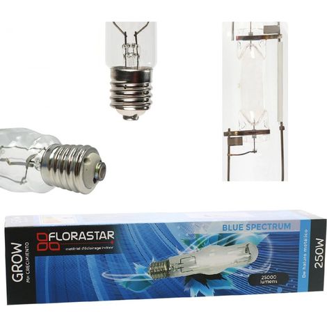 Ampoule MH 250W Croissance - FLORASTAR (1/4)