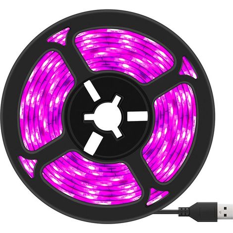 Bande LED horticole 12 V CC IP65 à spectre complet SMD 5050 rouge et bleu 4 en 1 pour aquarium et serre-AquaForge