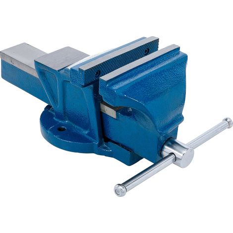 BGS Morsa Professionale Grigia con Apertura 150 mm (1/5)