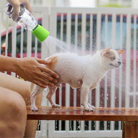 Trou de douche extérieure pour jardinage, adapté aux chats et aux chiens, bleu (1/5)
