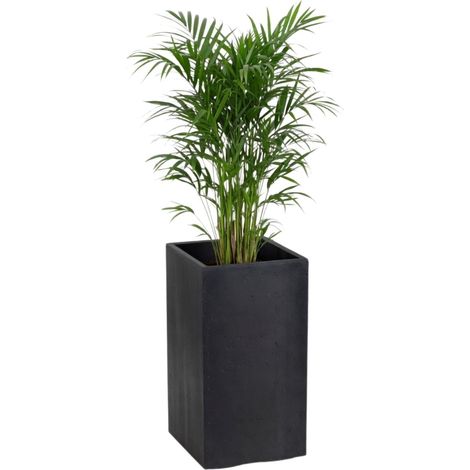 Vaso da fiori Betonique su ruote, riciclato, nero, 30x30xh60 cm (1/5)