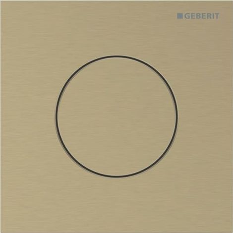 GEBERIT 246118QF1 Typ 40 BetPl.f. UR-Strg. pneum. Sp (1/5)