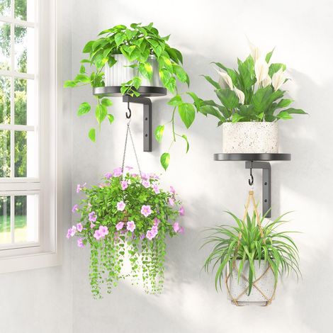 Briznsn lot de 2 Support mural pour plantes, à fixer au mur à l'intérieur, support métallique pour fenêtre, supports suspendus modernes avec crochets, pour la décoration de la cuisine extérieure et de (1/4)