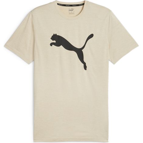 Puma Herren-T-Shirt Train FAV Heather CAT Beige 52235290 R M (1/5)