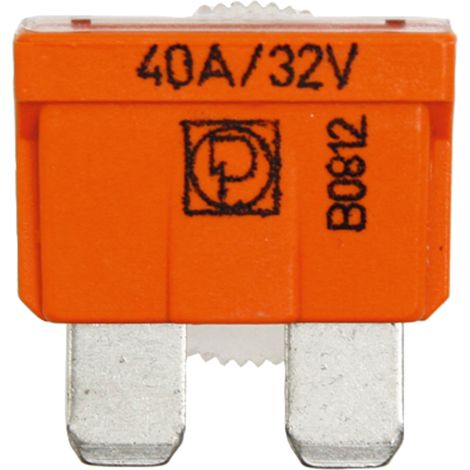 Flachstecksicherungen 32 V 40 A 50 Stück. GRANIT (1/2)