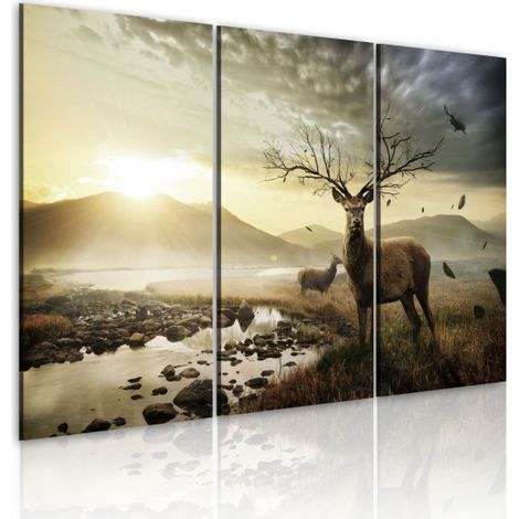 Tableau Imprimé "Cerfs avec un Bois" 40 x 60 cm (1/2)