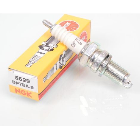 ngk Zündkerze für Auto dp7ea-9 / 5629 neu (1/4)