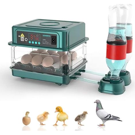 Couveuse automatique pour 12 œufs – Retournement et ajout d'eau automatiques – Surveillance de l'humidité – Ventilation intégrée (1/5)