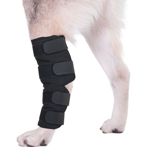Filiyano – Support pour les pattes arrière, le jarret et la cheville d'un chien, Hi (1/5)