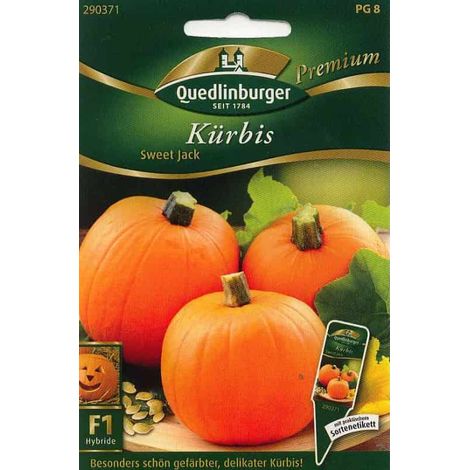 Quedlinburger Kürbis Sweet Jack - Gemüsesamen (1/2)
