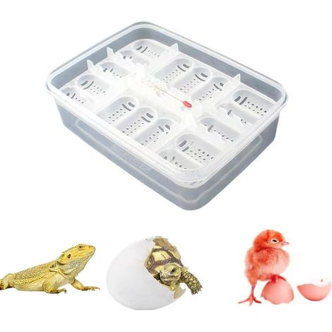 Incubateur et Boîte d'Élevage pour Reptiles - Boîte à Couver Transparente Portable avec 16 Grilles - Pour Œufs de Serpents, Lézards et Amphibiens - Accessoire de Reproduction et Terrarium de Transport (1/5)