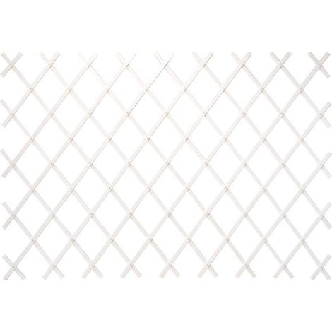 TRALICCIO BIANCO ESTENSIBILE 2X1