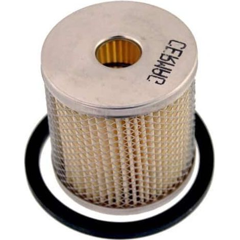 Filtro Carburant LOMBARDINI 273-2175-009