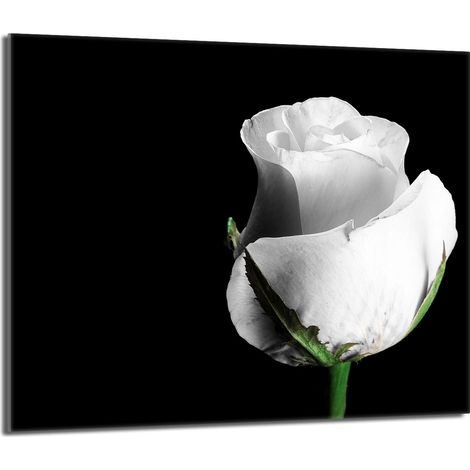 Placa protectora de vidrio para estufa 60x52 Rosa (1/5)