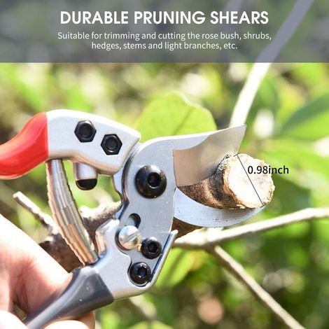 Pruning shears to blade in steel with handles ergonomic, scissors of gardening, cutting-bonsai, kit of tools manually professional for plants, roses, flowers, fruits, shafts of Christmas (1/5)