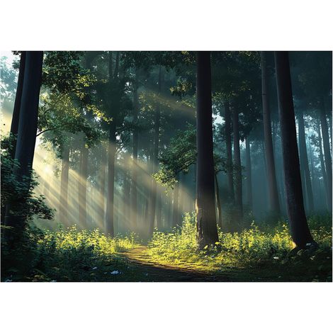 Papier peint panoramique forêt soleil arbres 3D nature 150x105 cm mural salon chambre petit format (1/5)