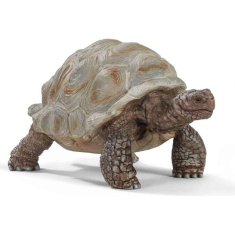 tortue géante