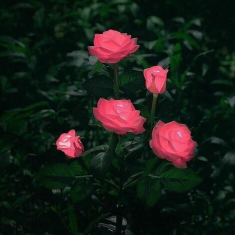 Solar LED Artificial Rose Flower Lights for Outdoor Garden Decor, Yard, Patio, Grave, Cemetery, Balcony, Christmas Decor - Pink (1/5)