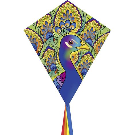 Ecoline Cerf-volant Eddy Peacock Envergure (détails) 580 mm Force du vent supportée 2 - 5 bft (1/4)