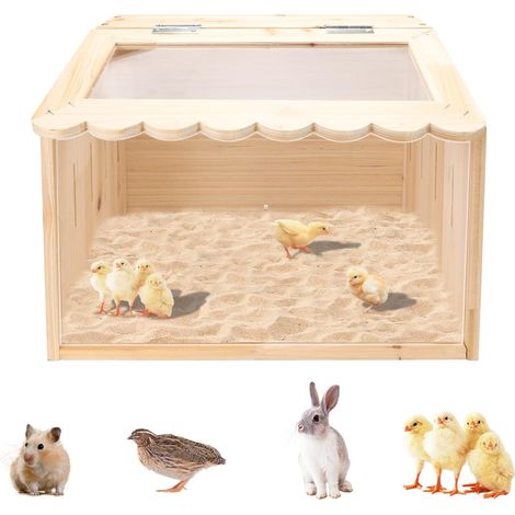 Poulailler d'intérieur en bois avec panneau acrylique transparent, cage d'élevage pour poussins, petits animaux et rongeurs, 40 x 30 x 30 cm (1/5)