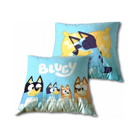 Nouvelle importation - Coussin, multicolore (007BLU-CS)