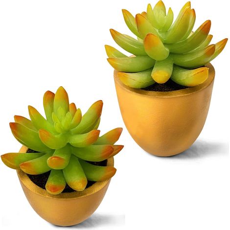 Lot de 2 Mini Plantes artificielles réalistes en Plastique avec Pots dorés pour Maison, Toilettes, Bureau, Salle de Bain, étagère (1/5)