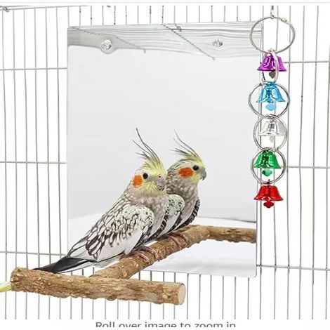 Miroir à Oiseaux avec perchoir, Jouets pour Oiseaux avec Cloche et Balançoire pour perruches, calopsittes, Conures, inséparables, pinsons, canaris (Vert) (1/5)