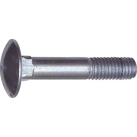 Schlossschrauben DIN603 ø M6x120 mm Torbandschrauben ohne Mutter verzinkt