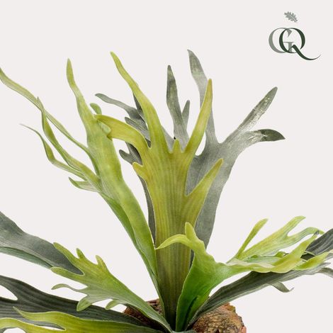 Plante Artificielle Fougère Corne de Cerf Platycerium Décoration Intérieure 50 cm - PANGIVO (1/5)