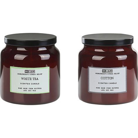 Set di 2 candele profumate 100% cera di soia Stoppino di cotone Vetro Alimentare Fragranza fresca tè bianco/cotone lavanda Lavanda Absolute Alchemy (1/5)
