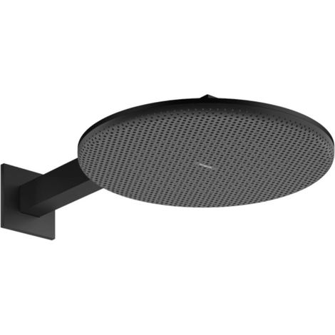 hansgrohe Raindance Alive S ducha de techo 300 2jet, 24540670 (1/4)