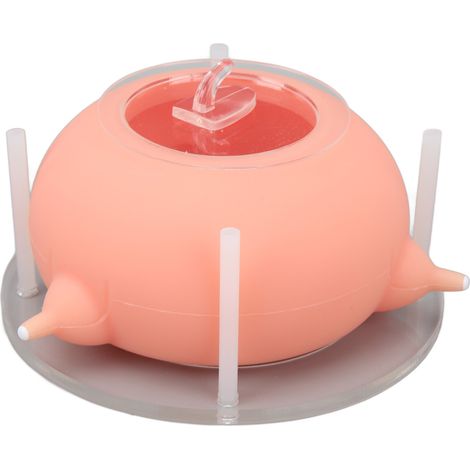 Gamelle d'alimentation en silicone bionique pour chiots, tétine, biberons pour chiots, station d'alimentation pour chiots