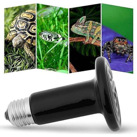 Lampe chauffante en céramique pour terrarium, ampoule infrarouge UVB sans lumière pour reptiles, amphibiens et hamsters (1/5)