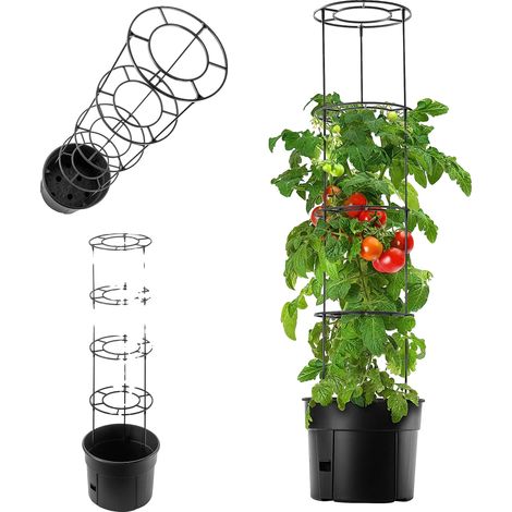 Pot de culture de tomates, capacité de 28 litres, plastique durable, diamètre 30 cm/40 cm, couleur anthracite, drainage optimal (1/5)