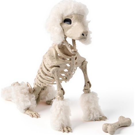 Squelette en forme de caniche d'Halloween, articulations entièrement articulées, squelette réaliste avec articulations mobiles pour décoration d'Halloween et décoration de fête de cimetière