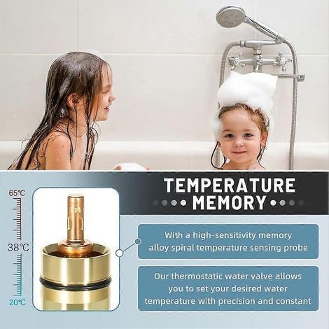 Compatible avec la cartouche thermostatique Grohe 47582000, élément chauffant 3/4" compatible avec GrohTemp 34902, Grotherm 34908 et 34124 (1/5)