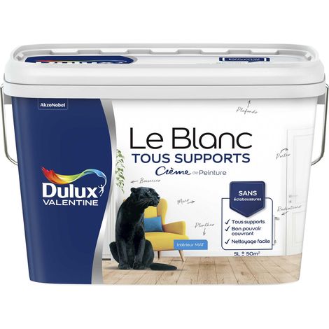 Peinture Le Blanc Tous Supports Crème de Peinture Dulux Valentine Mat Blanc 5 L